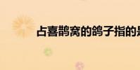占喜鹊窝的鸽子指的是什么鸟?
