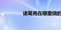诸葛亮在哪里烧的藤兵?