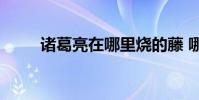 诸葛亮在哪里烧的藤 哪里来的兵?