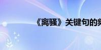 《离骚》关键句的频繁考证