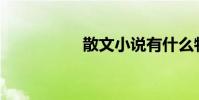 散文小说有什么特点?