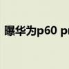 曝华为p60 pro渲染图 华为P60渲染图曝光 