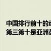 中国排行前十的动漫（超火的日本动漫排行榜前十名龙珠排第三第十是亚洲英雄）