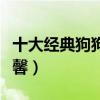 十大经典狗狗电影（忠犬八公上榜第四相当温馨）