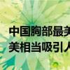 中国胸部最美的十大女明星（这些明星胸部很美相当吸引人）