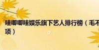 哇唧唧哇娱乐旗下艺人排行榜(毛不易上榜,第一曾获诸多奖项)