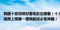 韩国十部顶级好看电影在哪看(十大看韩国片网站推荐人人视频上榜第一是韩剧迷必备神器)
