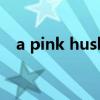 a pink hush（关于a pink hush的介绍）