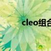 cleo组合（关于cleo组合的介绍）