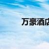 万豪酒店（关于万豪酒店的介绍）