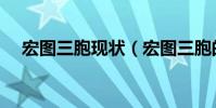 宏图三胞现状(宏图三胞的规模怎么样)