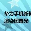 华为手机新款mate50上市时间 华为Mate50渲染图曝光 