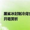 黑鲨冰封制冷背夹标准版怎么样 黑鲨冰封制冷背夹3专业版开箱赏析 