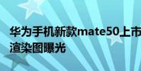 华为手机新款mate50上市时间 华为Mate50渲染图曝光