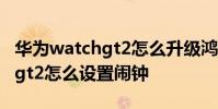 华为watchgt2怎么升级鸿蒙系统 华为watchgt2怎么设置闹钟