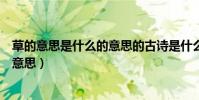 草的意思是什么的意思的古诗是什么(古诗中的小草是什么意思)