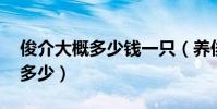 俊介大概多少钱一只(养俊介的话 一年开销多少)