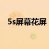 5s屏幕花屏（iphone5s花屏的处理方法）