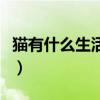 猫有什么生活习性及特点（猫有什么生活习惯）