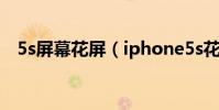 5s屏幕花屏(iphone5s花屏的处理方法)