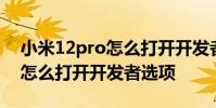 小米12pro怎么打开开发者模式 小米12Pro怎么打开开发者选项
