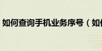 如何查询手机业务序号(如何查询手机业务)