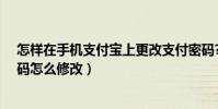 怎样在手机支付宝上更改支付密码?(手机支付宝的支付密码怎么修改)