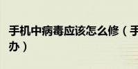 手机中病毒应该怎么修(手机中病毒应该怎么办)