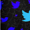 Twitter开始测试新的CoTweets功能让两个帐户共同创作一条推文
