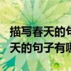 描写春天的句子有哪些至少100个字（描写春天的句子有哪些?）