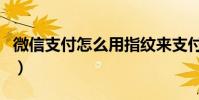 微信支付怎么用指纹来支付(微信支付怎么用)