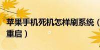 苹果手机死机怎样刷系统(苹果手机死机怎么重启)