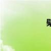 檗（关于檗的介绍）