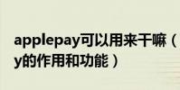 applepay可以用来干嘛(介绍苹果ApplePay的作用和功能)