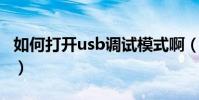 如何打开usb调试模式啊(如何打开USB调试)