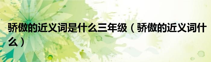 明亮的骄傲的近义词是什么的插图