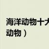 海洋动物十大游泳健将（十种时速最快的海洋动物）