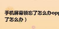 手机屏幕锁忘了怎么办oppo(手机屏幕锁忘了怎么办)