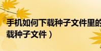 手机如何下载种子文件里的应用(手机如何下载种子文件)