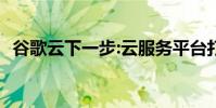 谷歌云下一步:云服务平台打包了一大堆api