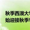 秋季西澳大学MBA课程学生将于8月21日开始迎接秋季学期