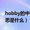 hobby的中文意思是什么（hobby的中文意思是什么）