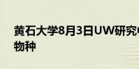 黄石大学8月3日UW研究中心演讲中的入侵物种