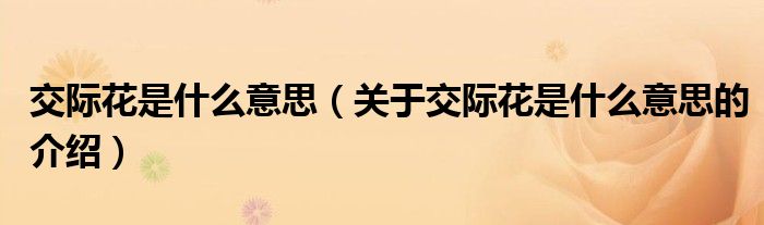 今日fun网友科普：交际花是什么意思及其文化影响分析