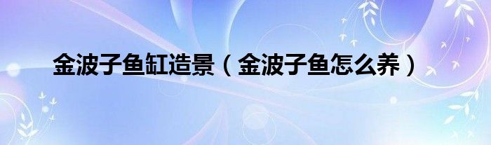 金波子鱼缸造景及饲养方法，你知道多少？