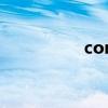 con（关于con的介绍）