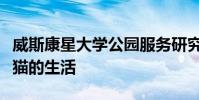 威斯康星大学公园服务研究中心演讲的山狮小猫的生活