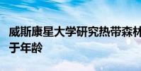 威斯康星大学研究热带森林对干旱的反应取决于年龄