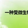 一种受微生物行为启发的群体机器人方法