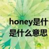 honey是什么意思中文翻译怎么读（honey是什么意思）